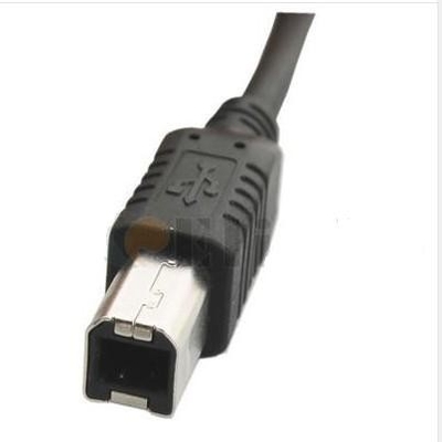 Ein Mann USB-Datenübertragungs-telegrafischen Überweisungen Kabel B zu den männlichen veranschlagen bis zu 480Mbps